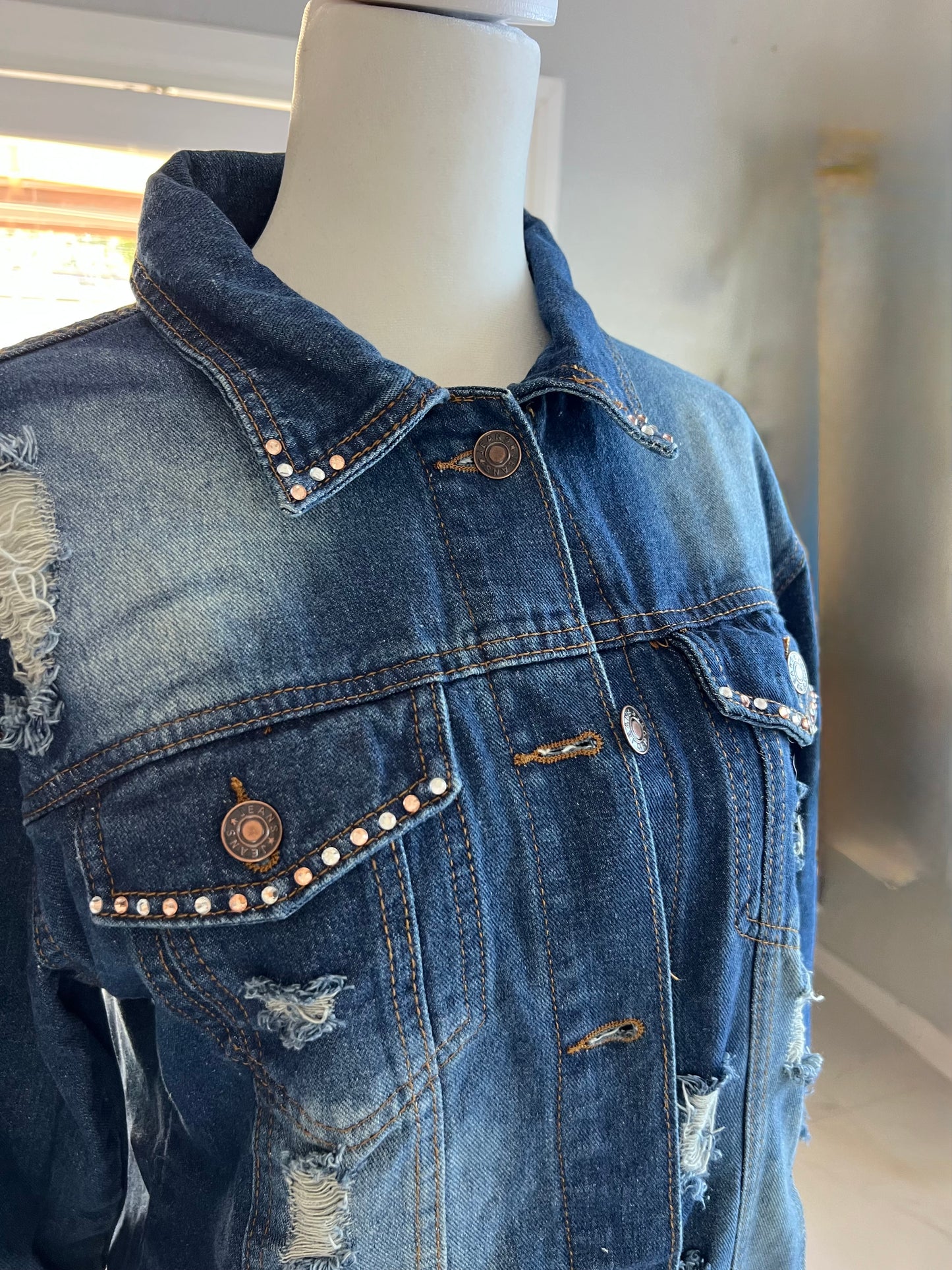Jean Jacket with  Lion Design