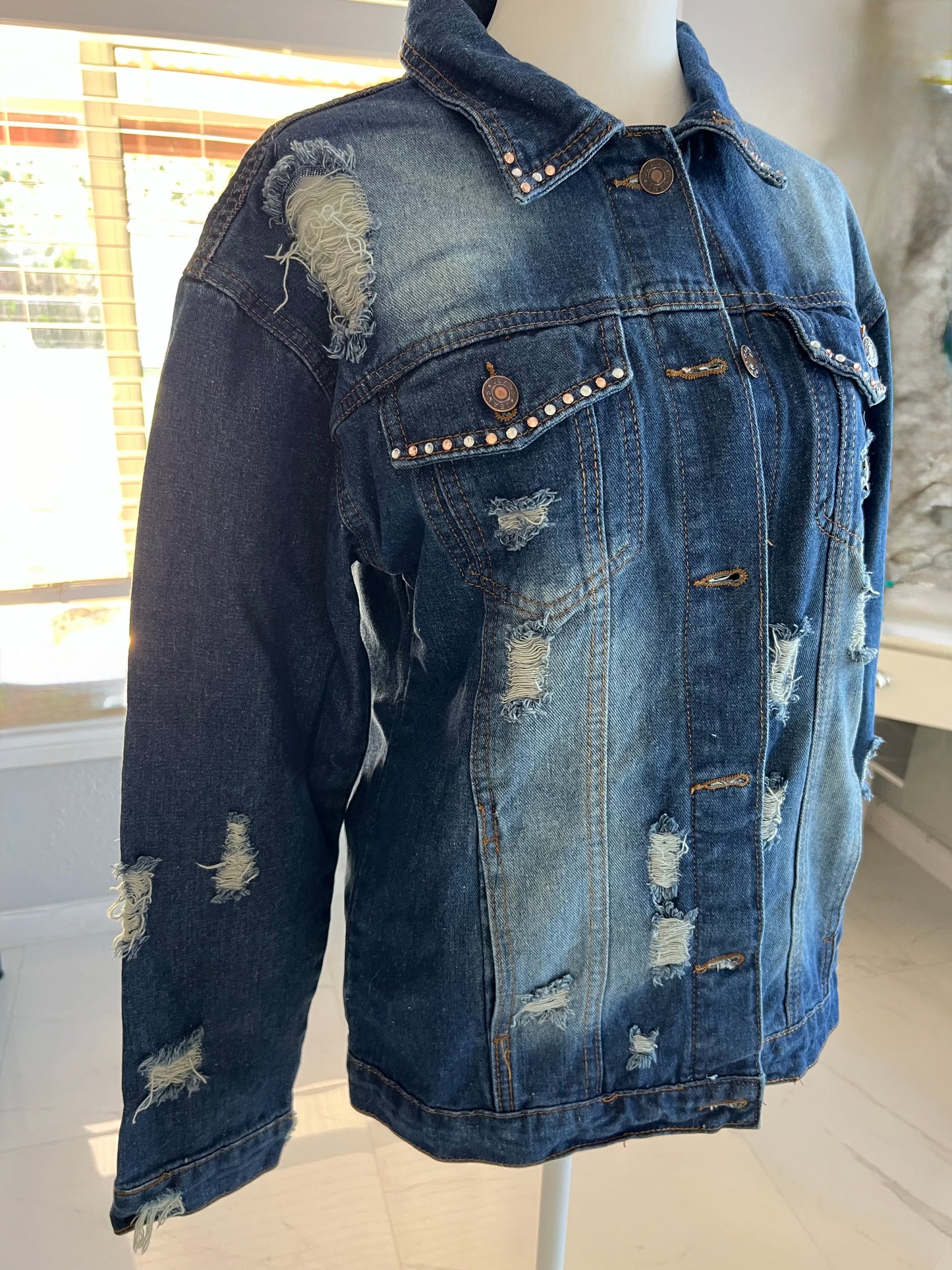 Jean Jacket with  Lion Design